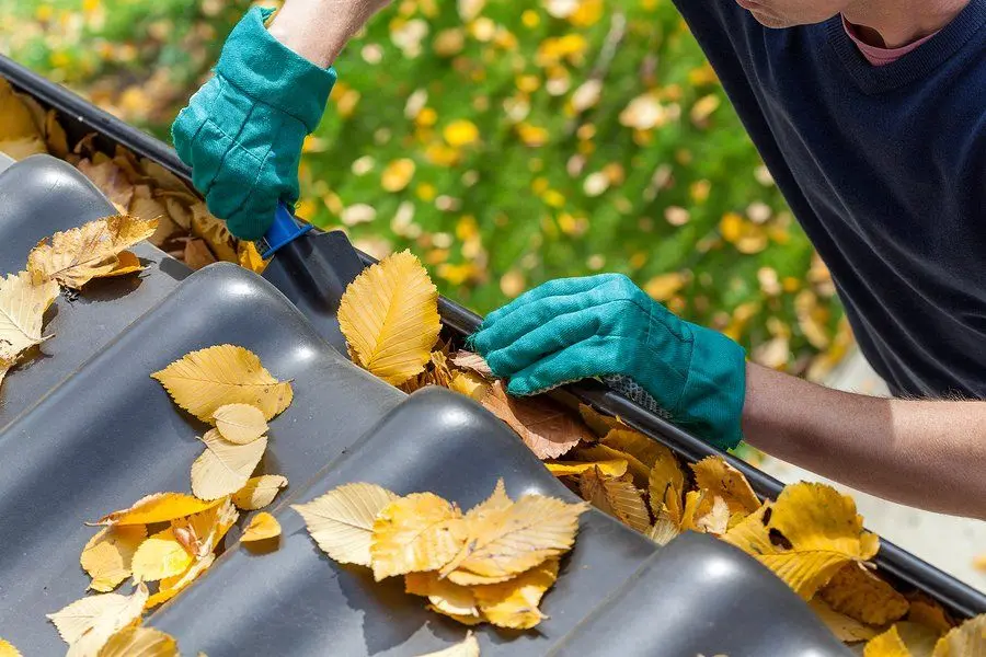 Working beside a leaf-filled residential gutter
